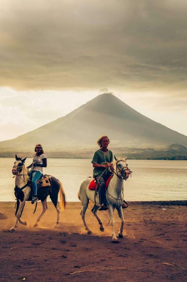 Caballito'S Mar Mérida Dış mekan fotoğraf